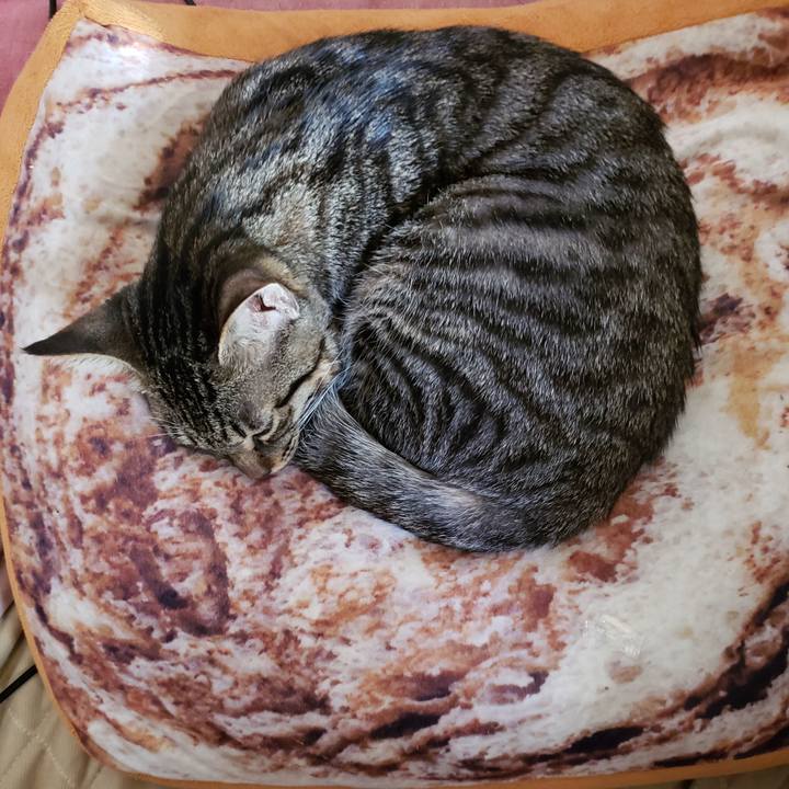 87dff067 6e4f 4699 a1ec 6338f4618493 1542151978293