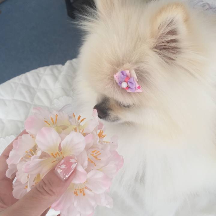 87e01851 dcfe 42a4 8217 01db72a54a13 1583384668957