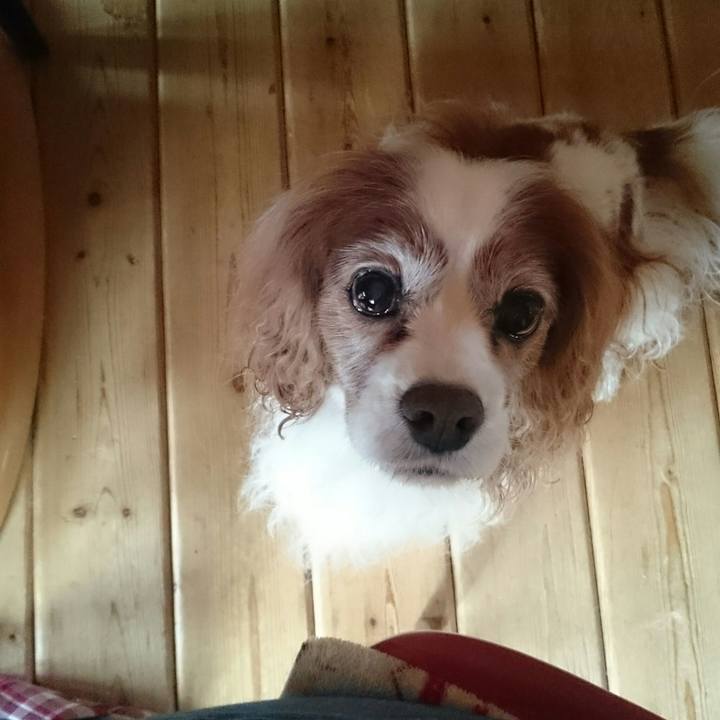 87e0239e 6344 4cb8 9cb4 7d8e44f7c205 1539732979120