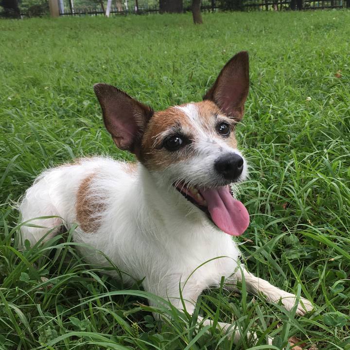 87e0326a 4bf9 4cb3 9b55 13b071da5dc4 1564895875848