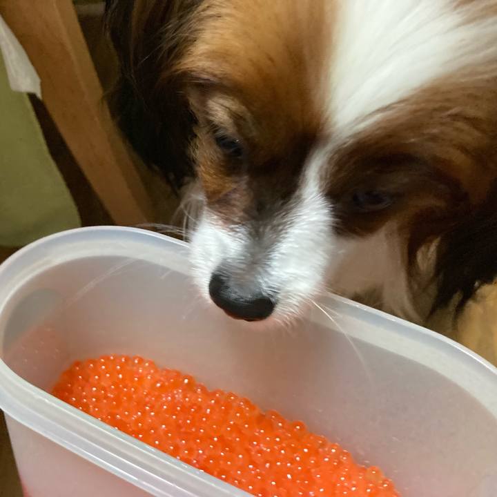 87e05b50 39a9 45a7 82d6 58234d0ba6bf 1634028439181