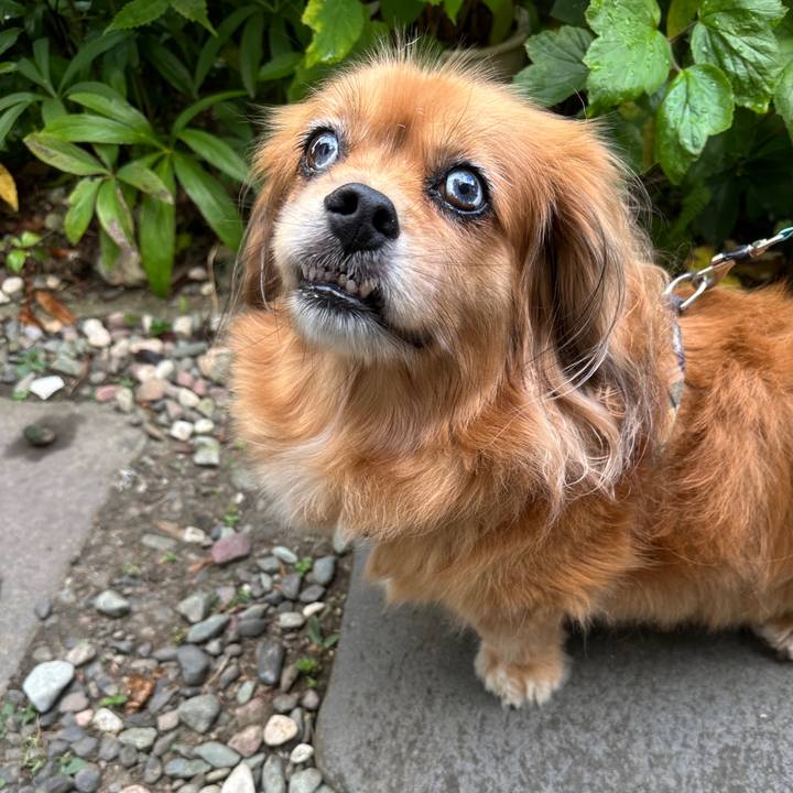 87e0ef39 89c0 4f76 aa1e 9b6c59b9f58b 1690924983682