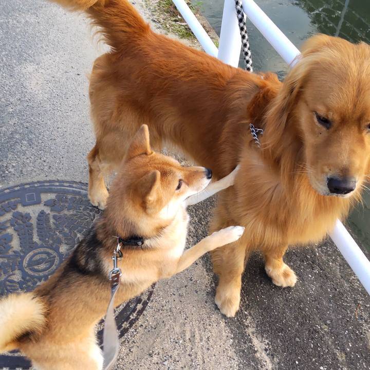 87e0f4d0 535d 460c be3e 8f2e29cf0113 1632004982980