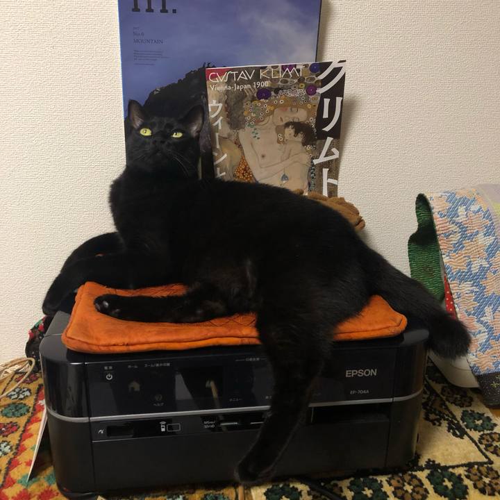 87e14ef8 4174 4d11 b70e e2d906c91101 1559341920088