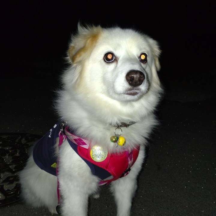 87e15fe9 a8f0 4507 ae1d 4fa8fca30c27 1643838534488