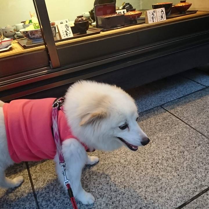 87e162cc a56e 46ef b318 740ffea076f3 1661744340864