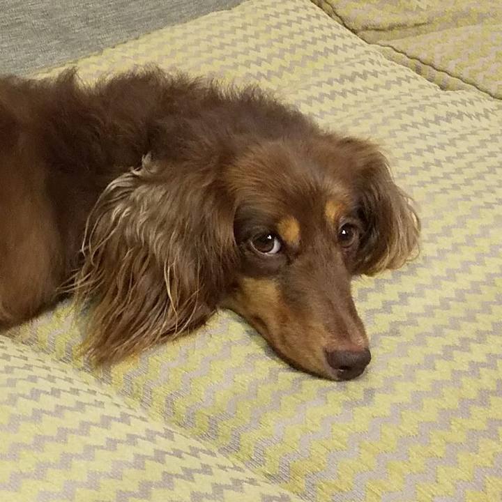 87e1786f 01c7 4cd8 843d 118004af5b08 1566904839762