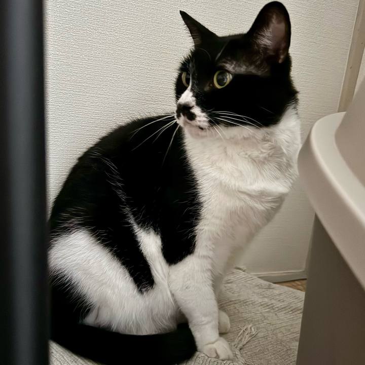 87e17a59 09a9 4d7e 9f19 f359c452841c 1758789842442