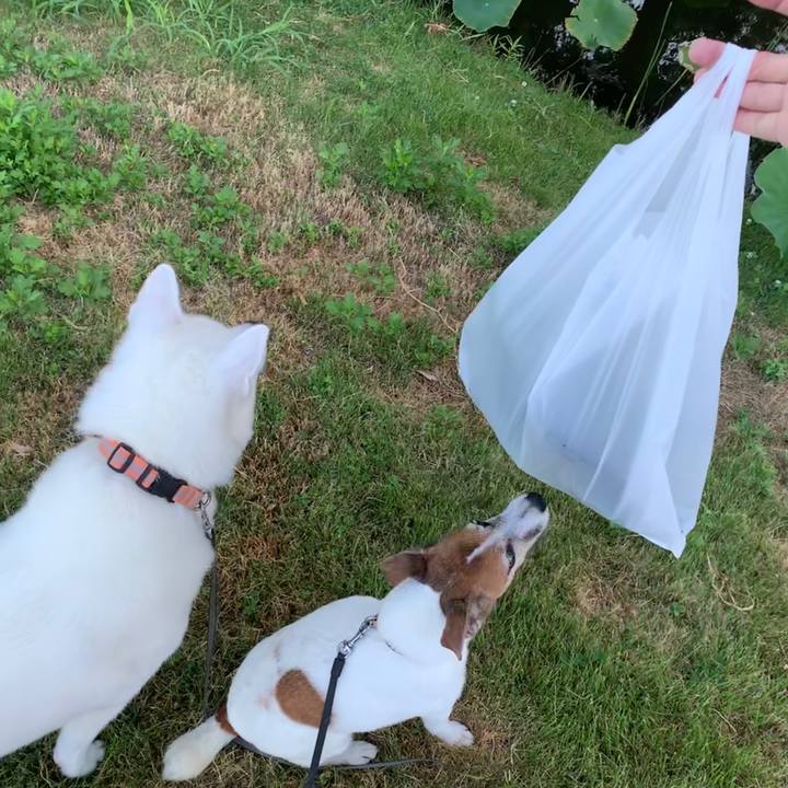 87e19fd4 8bc2 485b 9f23 3e4f0d230ca3 1565644116392