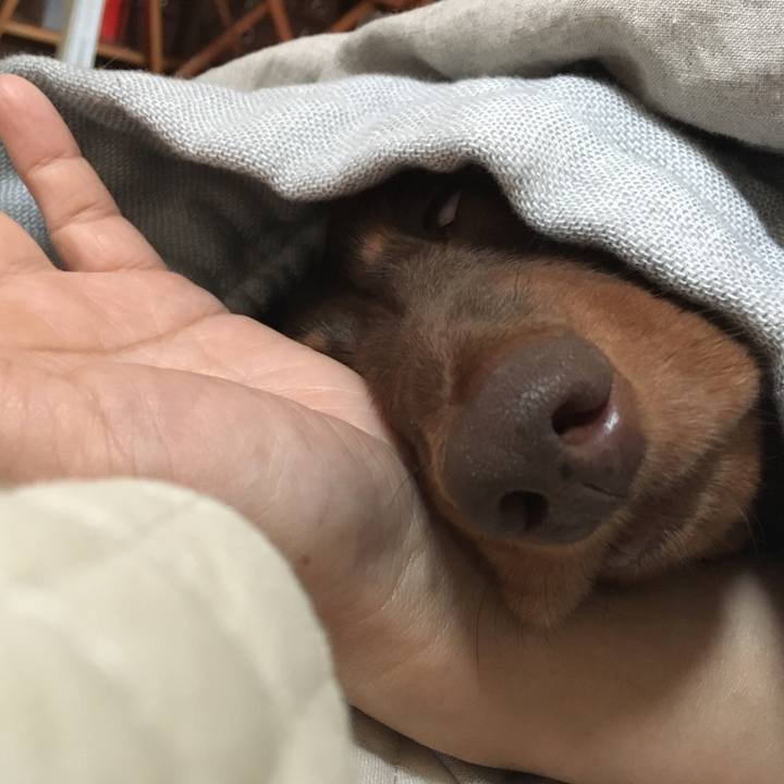 87e1b1c3 6e5c 43d7 8e22 a5589480b1ad 1507850271324