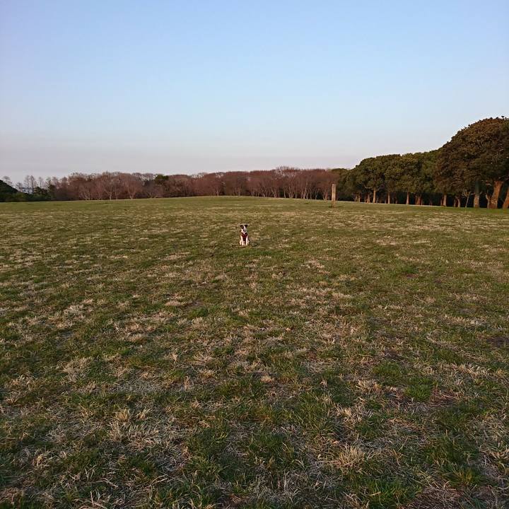 87e1e94b a74b 4140 b3ae 90dc313e87e3 1521275217522