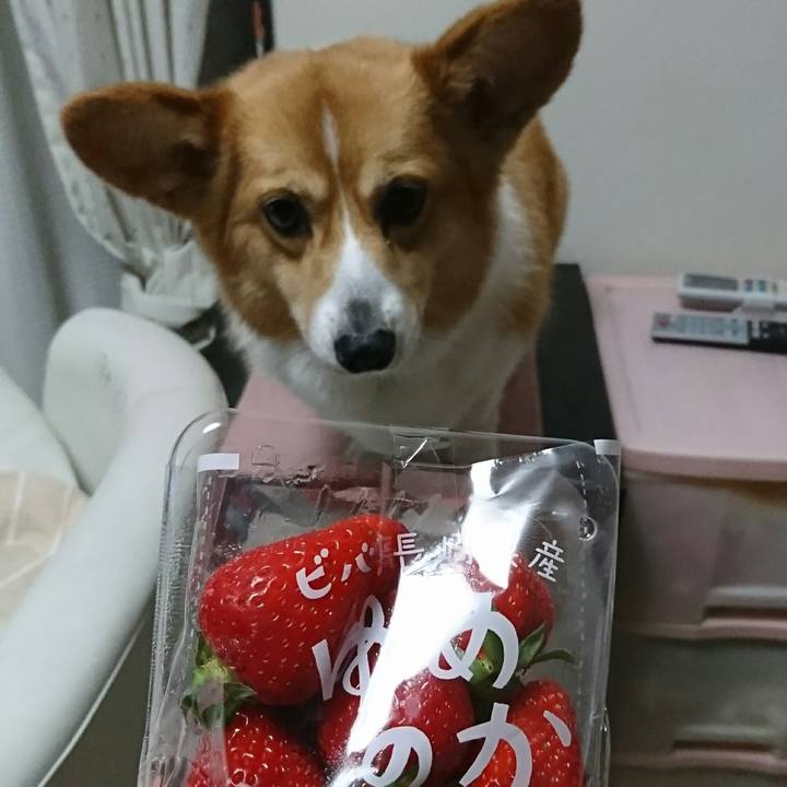 87e22e83 4215 42fe b970 9d03373a7769 1554554526218