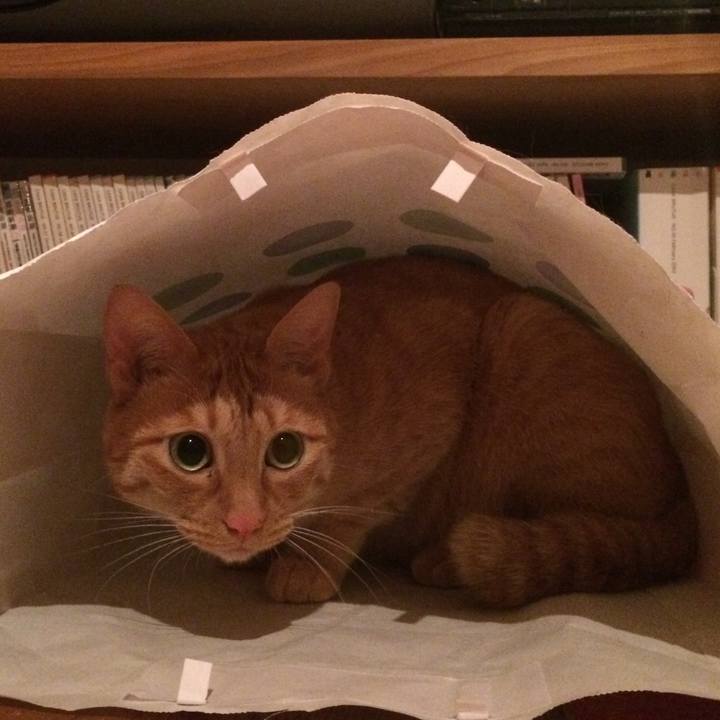 87e280d6 62f3 42b6 b9a8 967635f34325 1539693237181