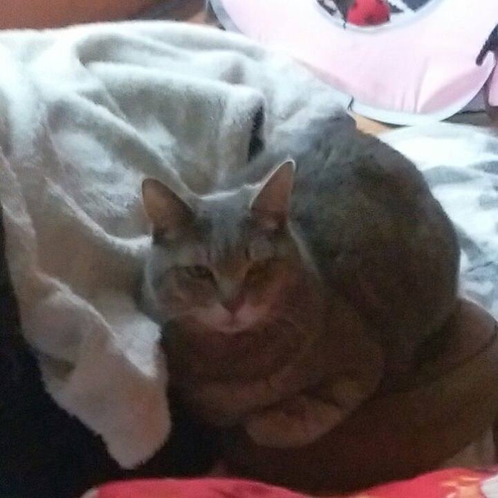 87e2a511 f631 48b5 a7ff bd77ab0b1beb 1553839487975