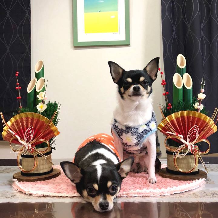 87e3194a 22f8 4bf9 a0e9 bd448742fee4 1514809342196