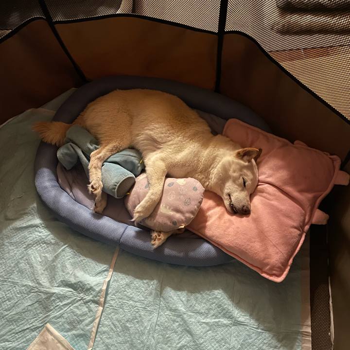 87e31c95 3e55 4598 bf6d 4d0c8b1c8f07 1655919495966