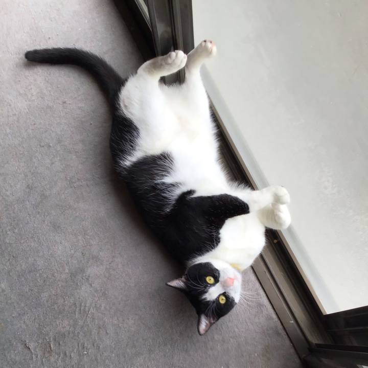 87e36350 665b 4607 b1b8 cc969e05b93b 1653555355177