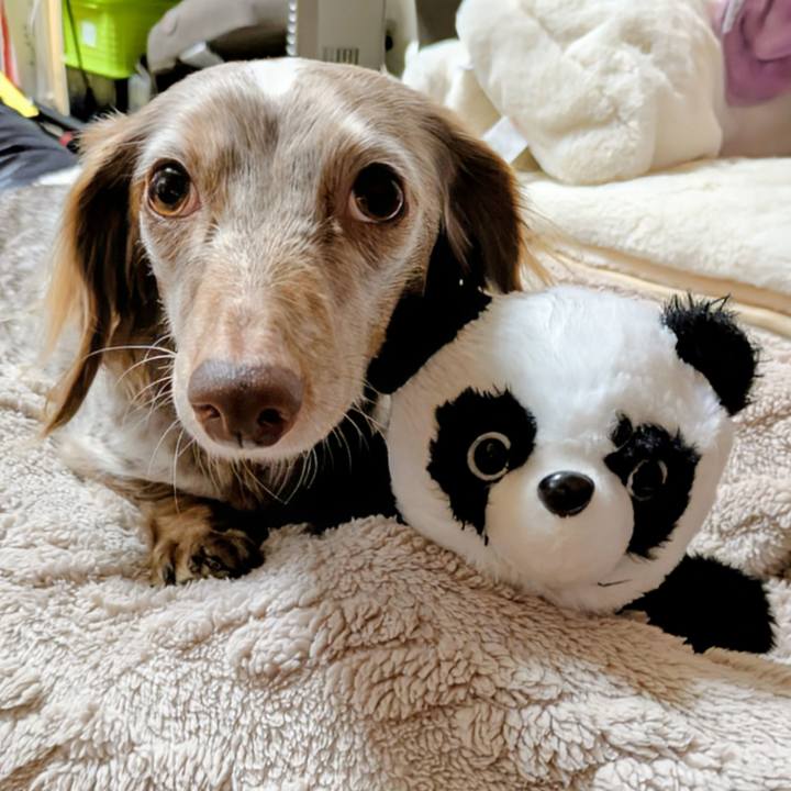 87e389b9 f5bc 4fda 801e 587099b8f7dd 1764501031838