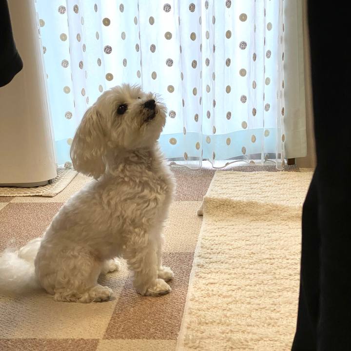 87e393d7 7d9d 4d21 b450 e2d6c20c8d69 1623239986343