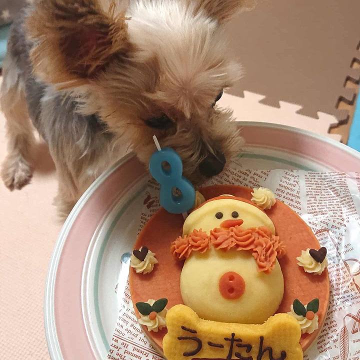 87e3abe0 10c2 4a2c 819b f4bba7db2eec 1577623389113