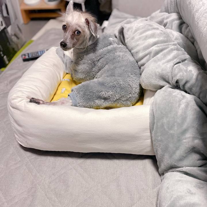 87e3c394 ec24 4533 b25a 97472133eadd 1766228359341