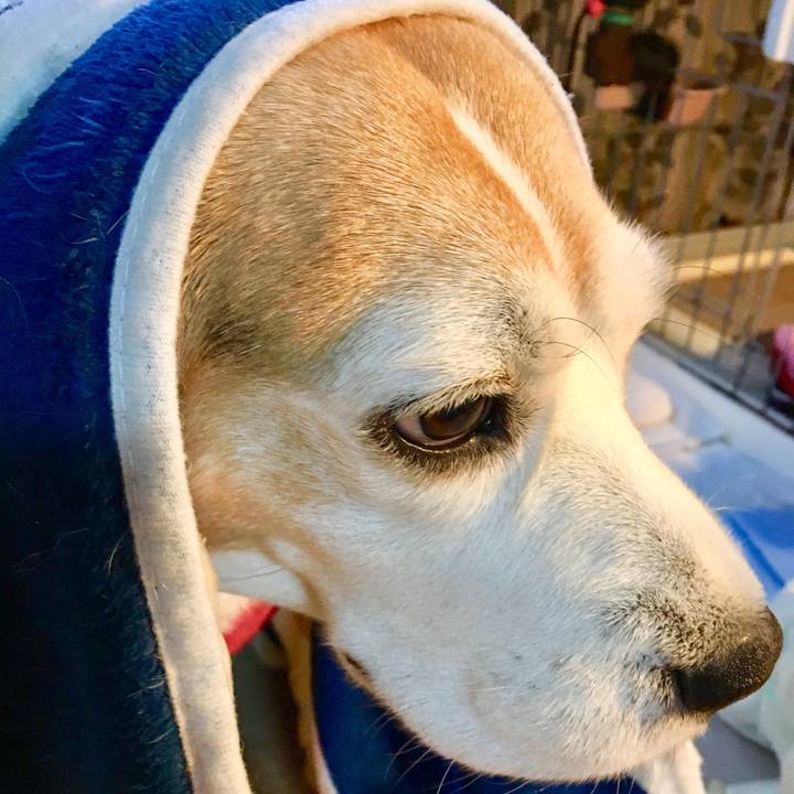 87e3c593 9e23 40fe 9f30 7bc49cef2998 1544335279787