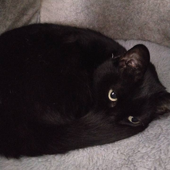 87e3eda8 53a0 4145 bad0 81d80665e8a7 1763770871241