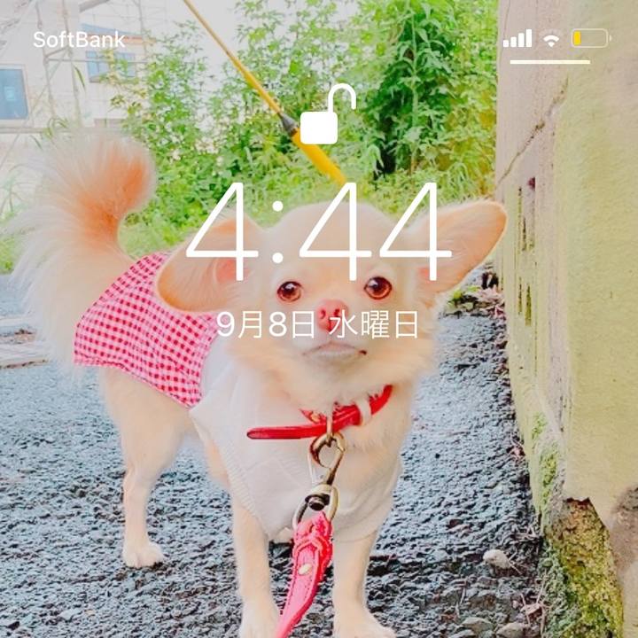 87e43a87 0ef3 4db3 987a a142b1a90d7e 1631052921954