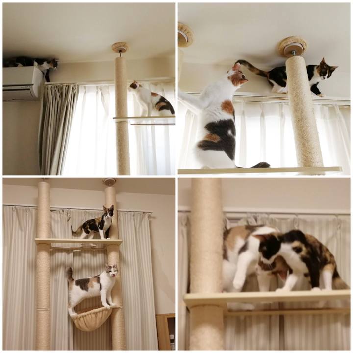 87e446ec 6480 41c6 8531 ce6ca3a08620 1596598818825