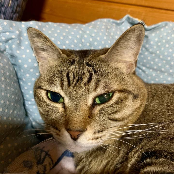 87e46f7f db96 4e50 92cd 502b3a6ed747 1606563739426