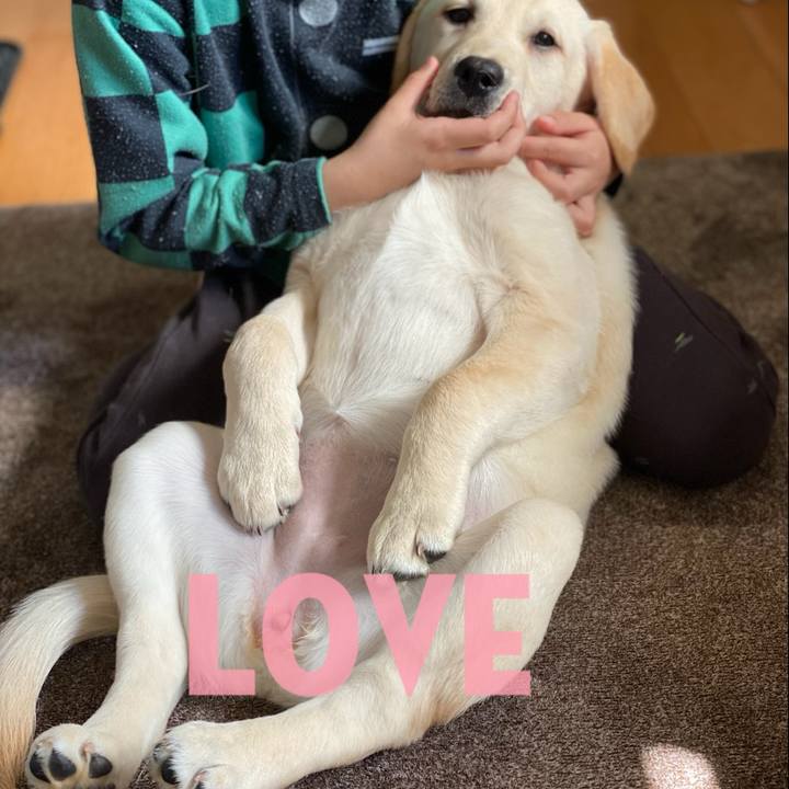 87e477d5 7585 455a a56e d72878cb56fa 1613882014818