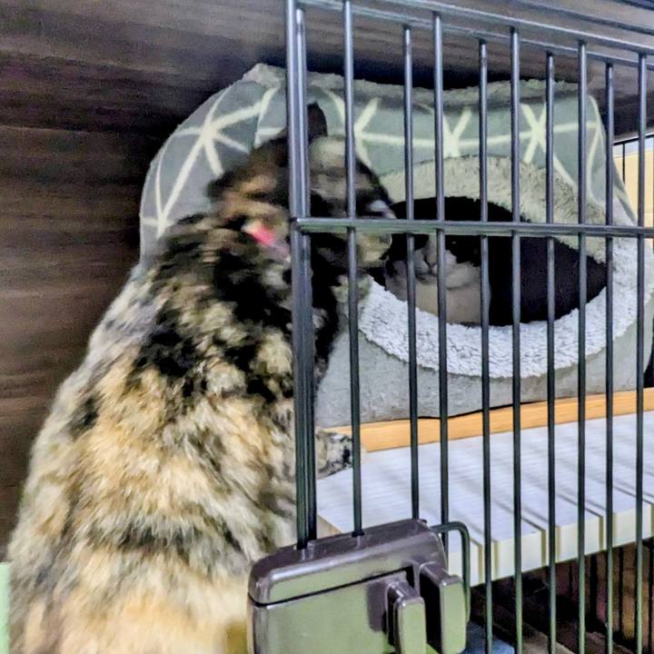 87e47cc6 541f 4d3e 8ffe eadbb2cbfd3d 1769685141959