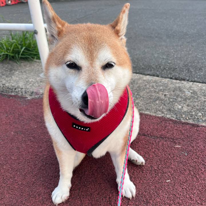 87e4ad20 279a 409b b08c 5ca2d0aac616 1696925056009