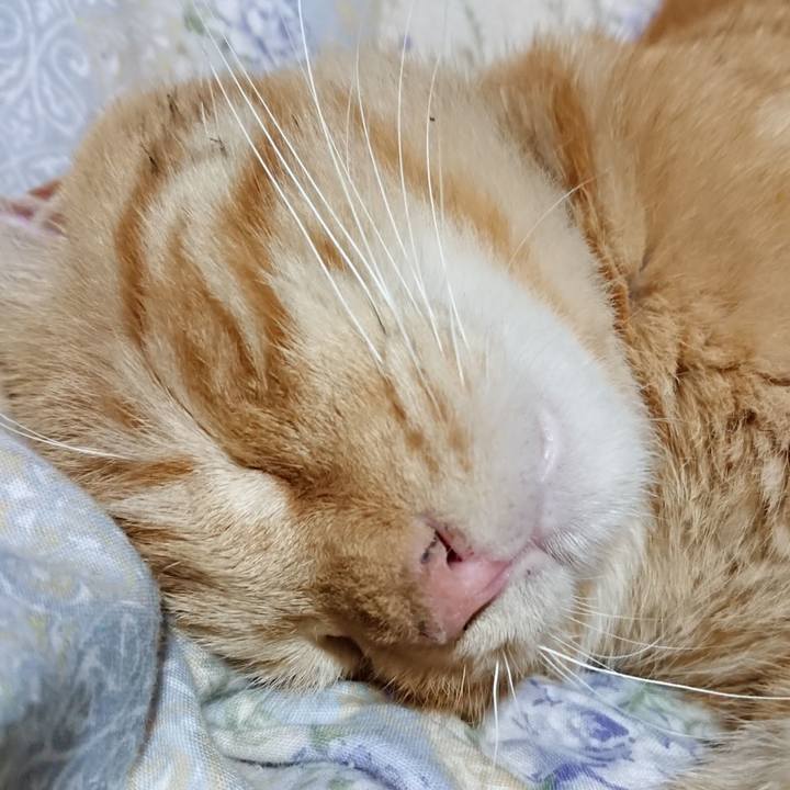 87e4b633 3ad4 4318 ac7f 399184b0f7b1 1662734035736