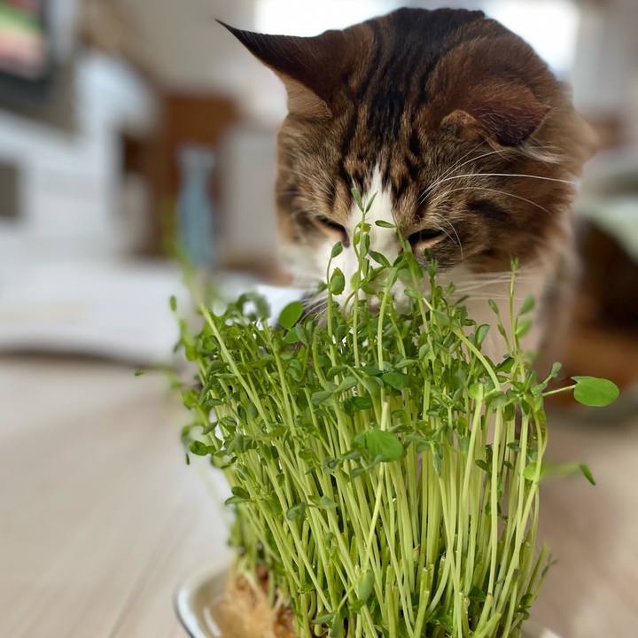 87e4e0fe 3c32 426e bd48 602f34511f24 1652567437794