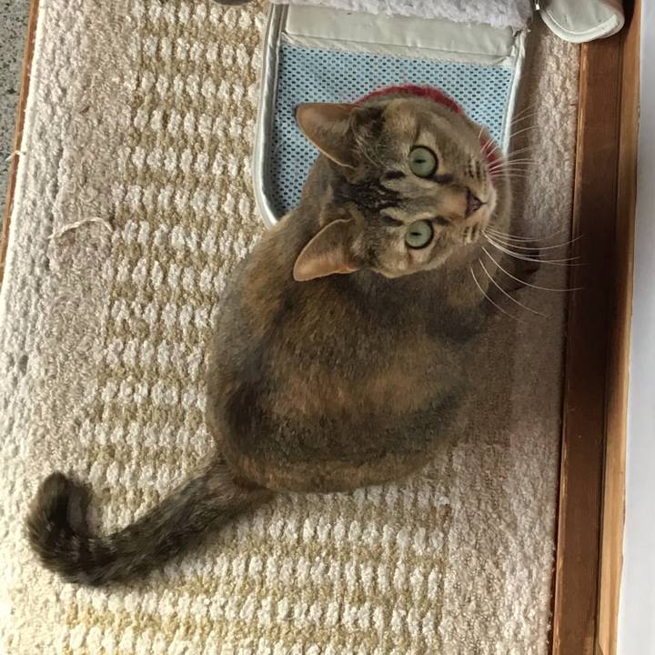 87e4e911 b285 43a3 8637 2cda40d15adc 1612415554837