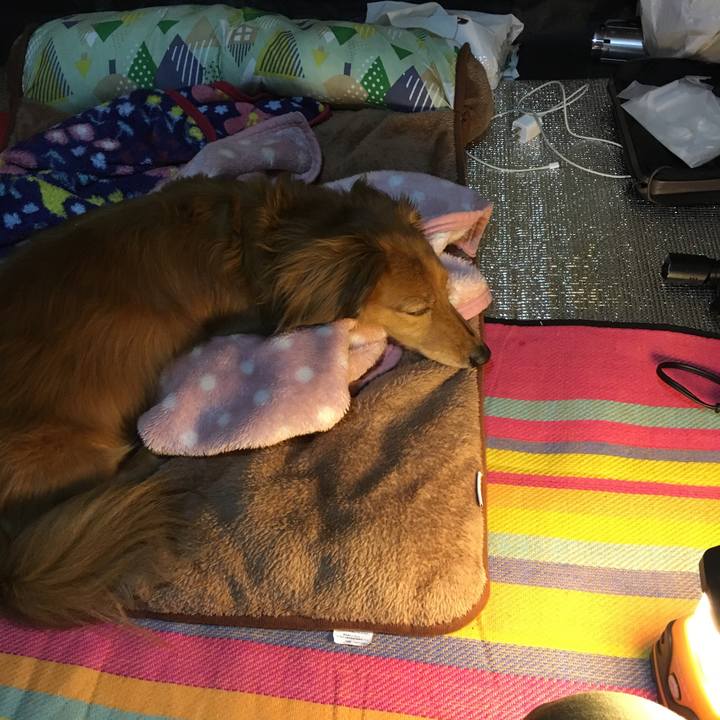 87e4ea86 962b 4e43 8bab 0ee1a0e50517 1556622970800