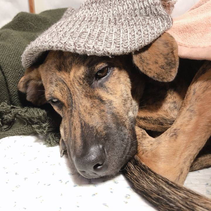 87e4fd25 8d31 465e 9b7d b2d1f0b34f65 1574511727392