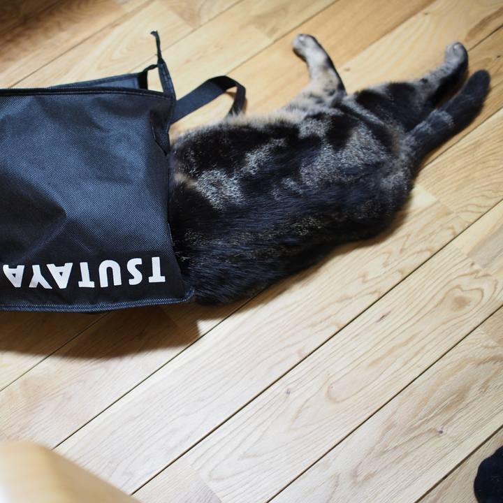 87e537c4 187a 4cc8 9316 af8bfbb736c7 1558534063378