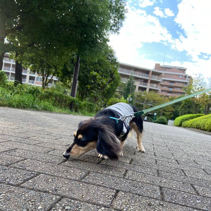 87e5399f 92e7 46f3 83c9 447f7c83062f 1695765303733