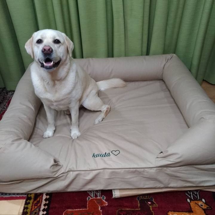 87e58257 60c9 4eab 8393 084d01ac1d58 1591962204375