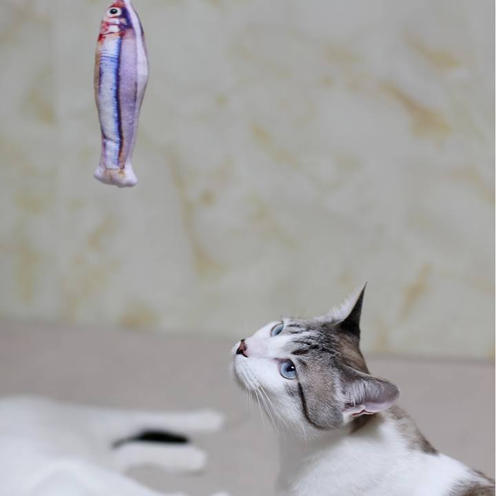 87e58481 cd00 4f6e 9cca 8754d9fee1fd 1628511636030