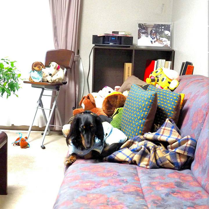 87e5c3a7 34b2 49af b86e 1341af247845 1527810488858