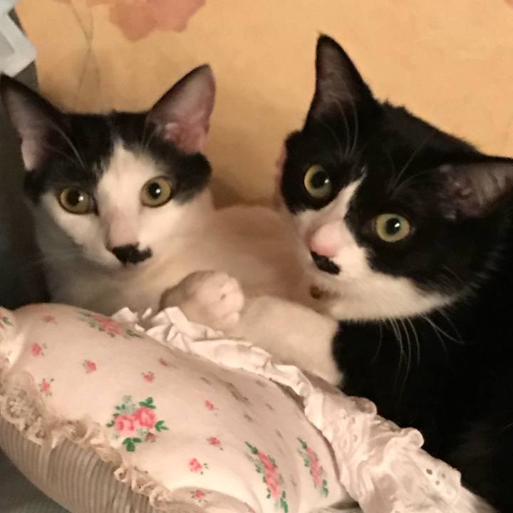 87e5cd99 6282 4a00 84de 9814e8fe32c0 1530605968570