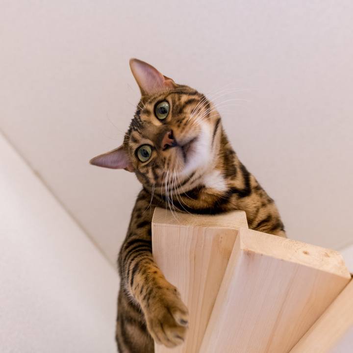 87e5cfed b0af 4380 88a6 e86e1f178d30 1519922228394