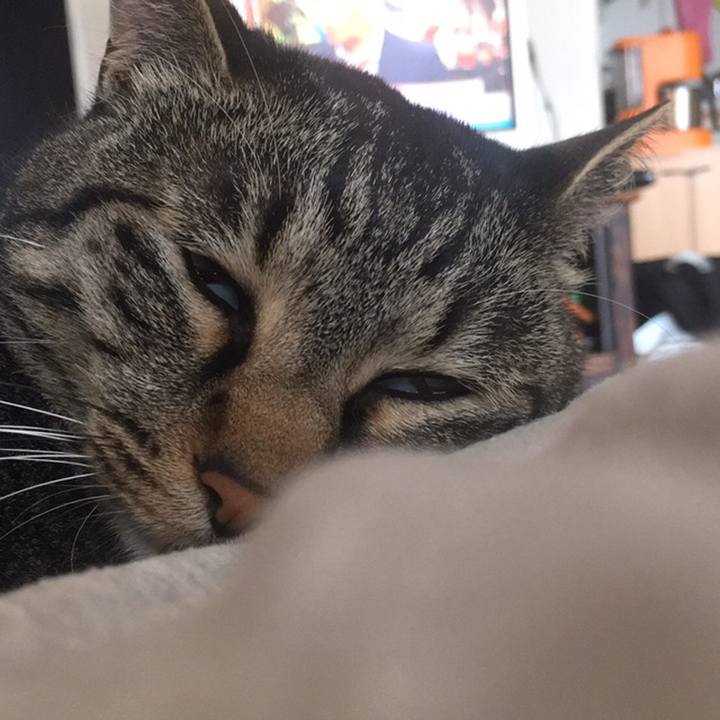 87e5e3a9 1ebb 4a25 b1e0 2818aa6624ba 1558505495634