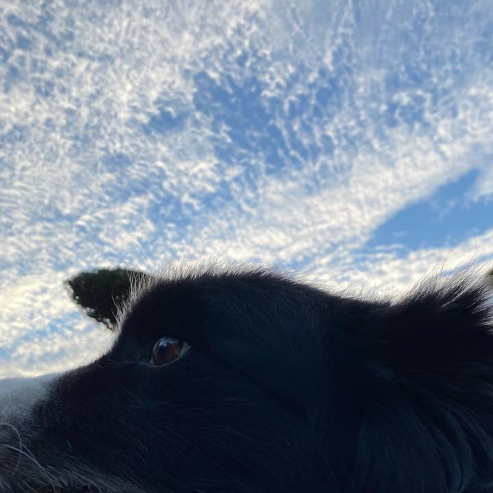 87e62ff1 4dec 4de3 b7b1 19fb88ebf2c6 1635291572773