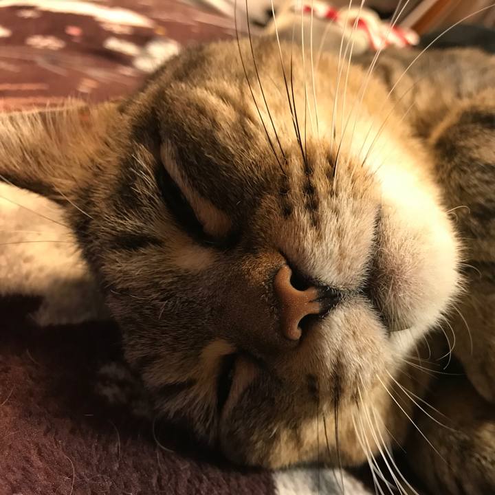 87e6451b f007 4acb b362 063e2e32ed6a 1549236424739