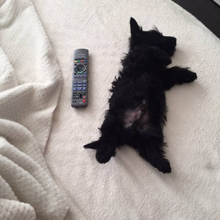 87e64e00 e123 4f18 a8a8 04dca2d6292d 1514882705510