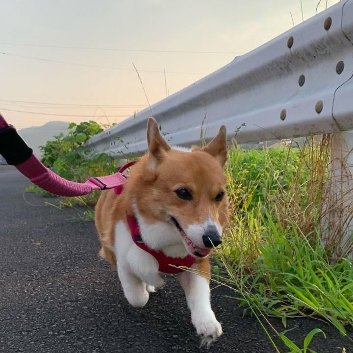 87e663ab 58ed 42a0 80e4 6f983002ca0e 1721773137655